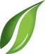 It's a leaf